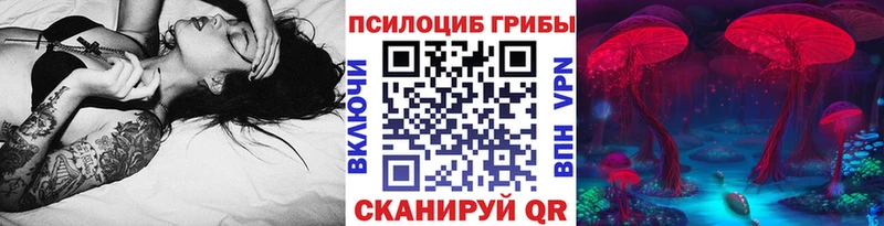 где купить наркотик  Дятьково  Псилоцибиновые грибы Psilocybe 