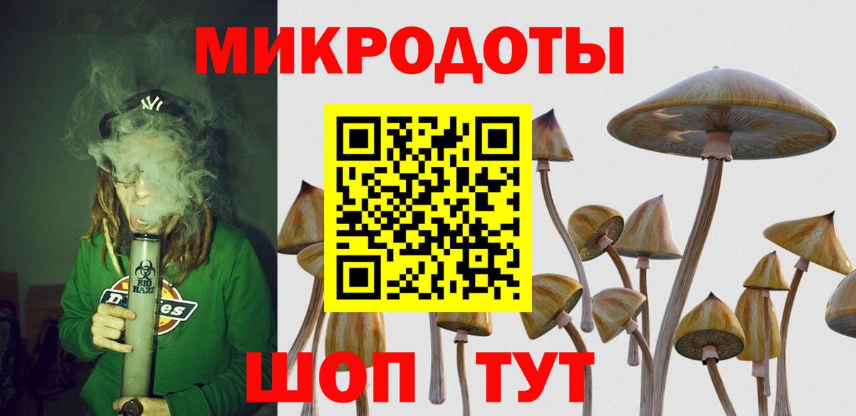 Псилоцибиновые грибы MAGIC MUSHROOMS Дятьково